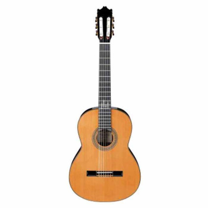 قیمت خرید فروش گیتار کلاسیک  Ibanez G850 NT